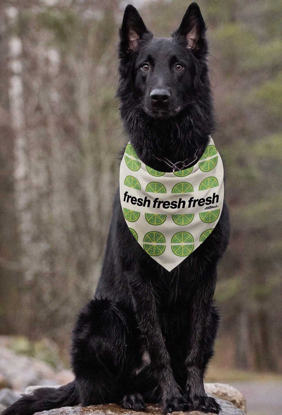 Bandana Fresh Lime